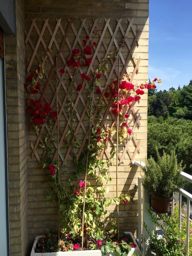 Happy Holiday In Rome B&B Luaran gambar
