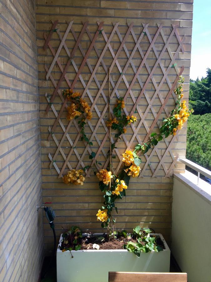 Happy Holiday In Rome B&B Luaran gambar
